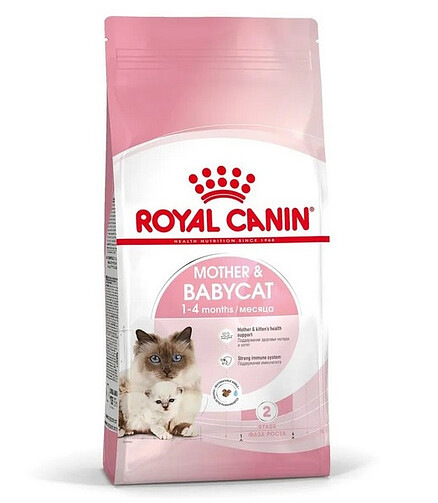 Корм для котят Royal Canin Mother&Babycat (0,4кг) 438x503 в Материке