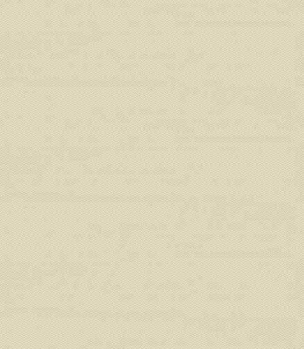 Ковер TERAZZA 21261 Ivory Silver/Gold 80*150 438x503 в Материке