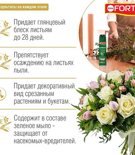 Блеск для листьев BONA FORTE (300мл) 438x503 в Материке - Вариант 3