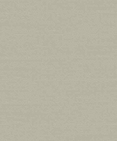 Ковер TERAZZA 21215 Ivory Silver/Sage Green 60*110