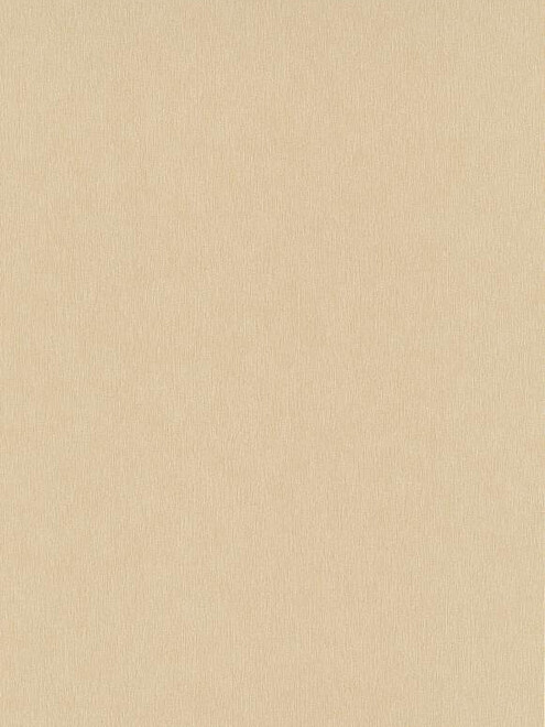 Виниловые обои 10281-30 ERISMANN 0.53*10м 495x660 Виниловые обои 10281-30 ERISMANN 0.53*10м 495x660 в Материке