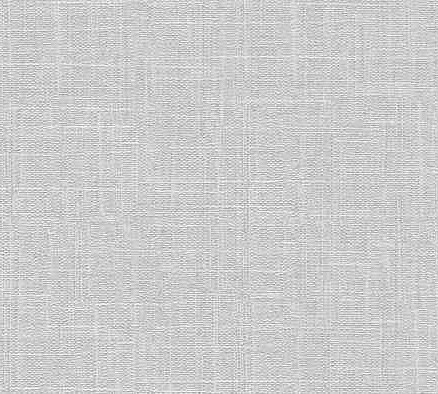 Виниловые обои 10099-31 ERISMANN 0.53*10м 438x503 в Материке