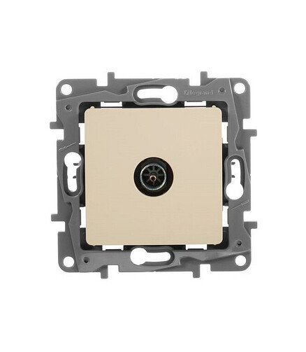 Розетка ТВ Legrand ETIKA 672351 сл.кость 438x503 в Материке