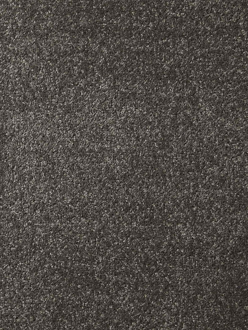 Ковровое покрытие DYNASTY 75 d.grey, 1м 495x660 Ковровое покрытие DYNASTY 75 d.grey, 1м 495x660 в Материке