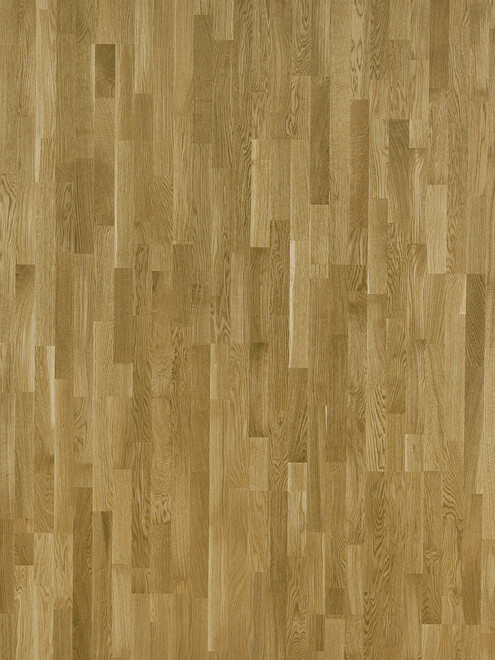 Паркет FOCUS FLOOR_KARELIA PROMO ДУБ CHARMING MATT 3-Strip 495x660 Паркет FOCUS FLOOR_KARELIA PROMO ДУБ CHARMING MATT 3-Strip 495x660 в Материке