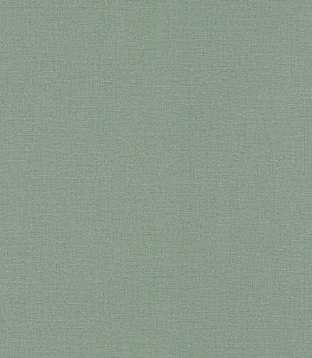 Обои 555936 RASCH 0.53*10м 438x503 в Материке