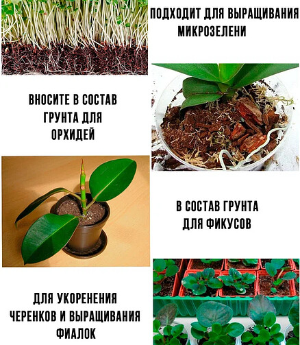 Субстрат Кокосовый универсальный ОРЕХНИН-1 (2кг) 438x503 в Материке - Вариант 4