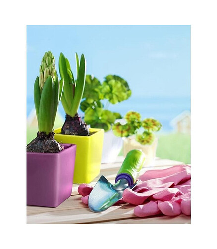 Горшок SPRING (9*10см) керамика салатовый арт.37.023.09 438x503 в Материке - Вариант 2