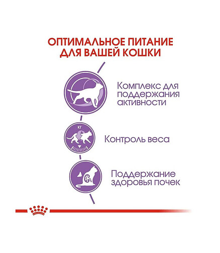 Корм для кошек Royal Canin Sterilized+7 (0,4кг) 438x503 в Материке - Вариант 2