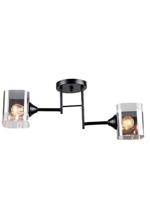 Cветильник потолочный SX-N-2215/2 BK 495x660 Cветильник потолочный SX-N-2215/2 BK 495x660 в Материке