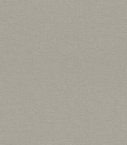 Обои 452037 RASCH 0.53*10м 438x503 в Материке