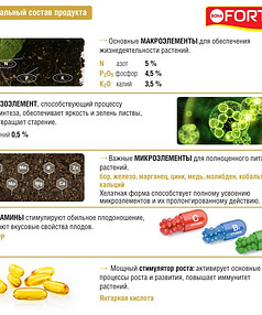 Удобрение BONA FORTE КРАСОТА для петуний и балконных цветов (285мл) 238x286 в Материке - Вариант 3