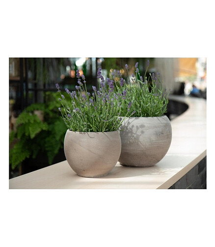 Горшок BASALT Kula (26x19см) терракота коричневый T-057-026-26 438x503 в Материке - Вариант 3