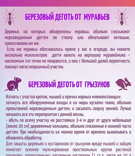 Деготь берёзовый (100мл) 438x503 в Материке - Вариант 2