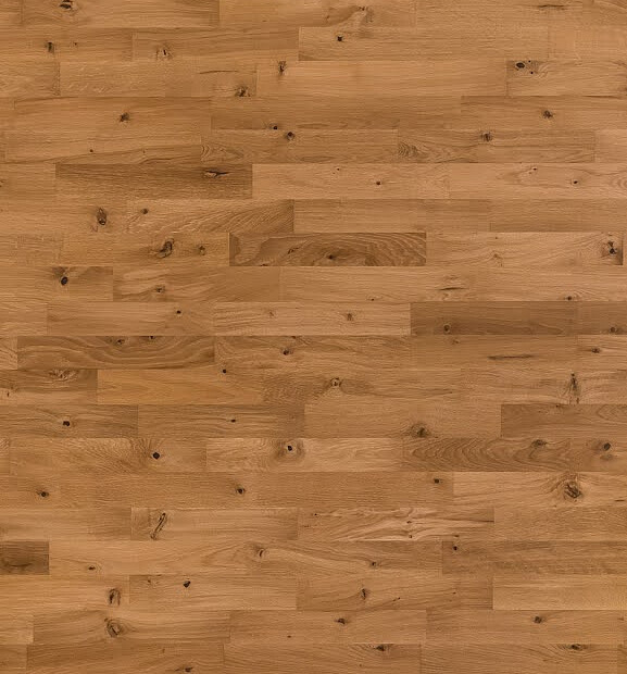 Паркет FOCUS FLOOR_KARELIA ДУБ ZEPHYR OILED 3-Strip