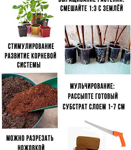 Субстрат Кокосовый универсальный ОРЕХНИН-1 (0,65кг) 438x503 в Материке - Вариант 3