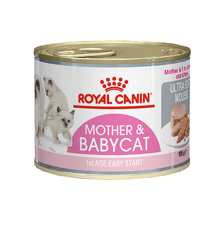 Корм для котят Royal Canin Mother&Babycat (0,195кг) 438x503 в Материке