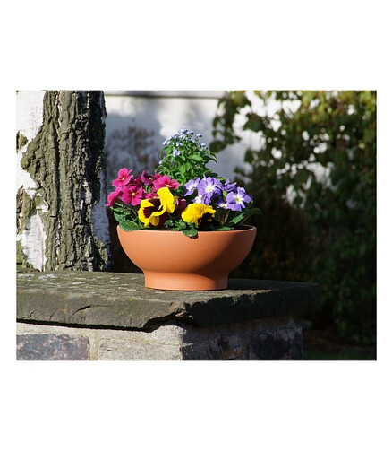 Горшок NATUR Misa M (27x11см) терракота кирпичный T-014-001-26 438x503 в Материке - Вариант 2