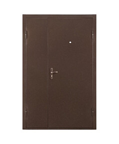 Дверь металлическая ПРОФИ-DL/2050х1250/R
