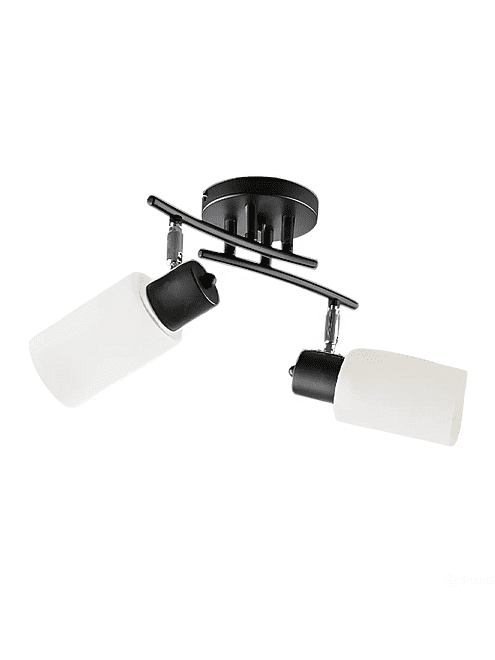 Светильник потолочный BL-2598/2 BK+CR 495x660 Светильник потолочный BL-2598/2 BK+CR 495x660 в Материке