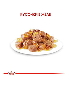 Корм для стер. кошек кусочки в желе Sterilised in Jelly (85г) Royal Canin