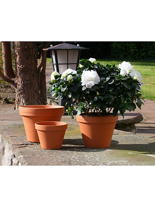 Горшок NATUR Prosta (9,2x7,8см) терракота кирпичный T-001-001-08-P 238x286 в Материке - Вариант 2