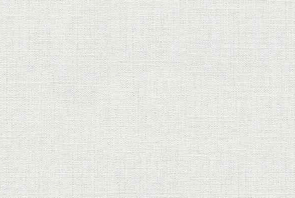 Виниловые обои 10099-01 ERISMANN 0.53*10м 586x674 Виниловые обои 10099-01 ERISMANN 0.53*10м 586x674 в Материке