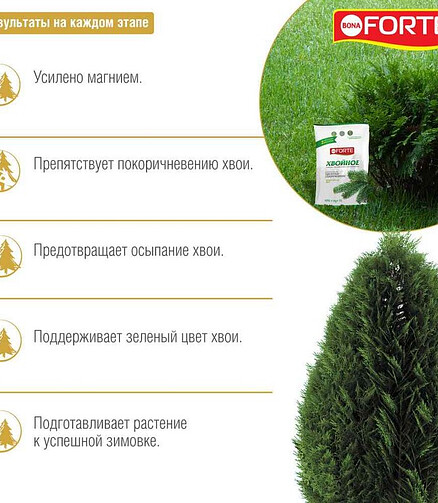 Удобрение BONA FORTE Хвойное (2кг) 438x503 в Материке - Вариант 2