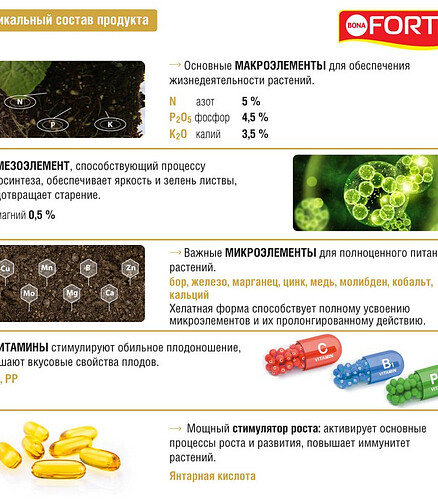 Удобрение BONA FORTE КРАСОТА для петуний и балконных цветов (285мл) 438x503 в Материке - Вариант 3