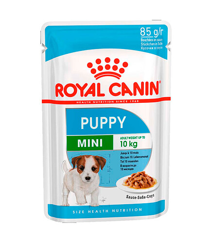 Корм для щенков мелк. пород Royal Canin Мini Puppy кусочки в соусе (85г) 438x503 в Материке