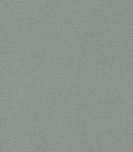 Обои 449846 RASCH 0.53*10м 438x503 в Материке