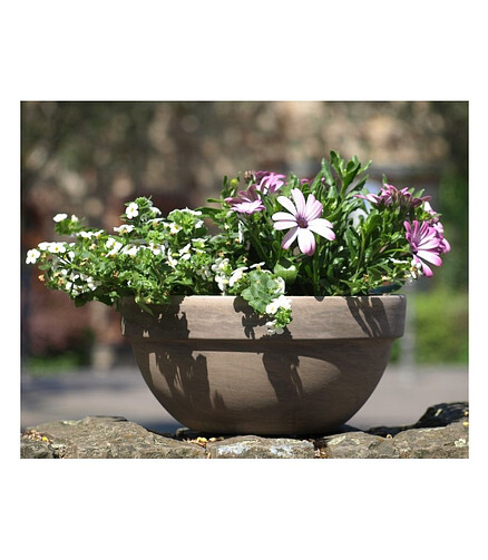 Горшок BASALT Misa Levy (26x12,5см) терракота коричневый T-025-025-26 438x503 в Материке - Вариант 2