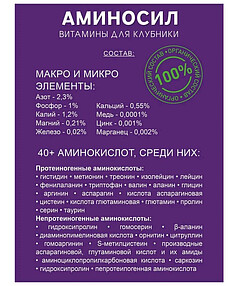 Удобрение для клубники АМИНОСИЛ органоминеральное (0,5л) 238x286 в Материке - Вариант 3