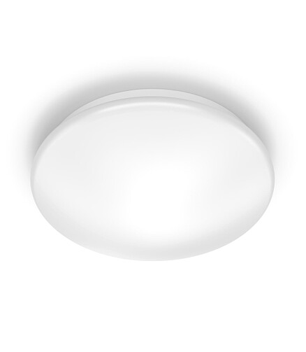 Светильник настенно-потолочный PHILIPS CL200 EC RD 10W/6500K 438x503 в Материке
