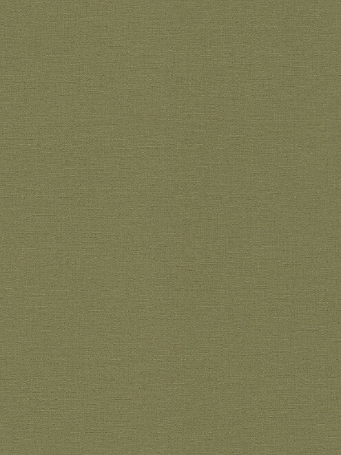 Обои 452068 RASCH 0.53*10м 495x660 Обои 452068 RASCH 0.53*10м 495x660 в Материке