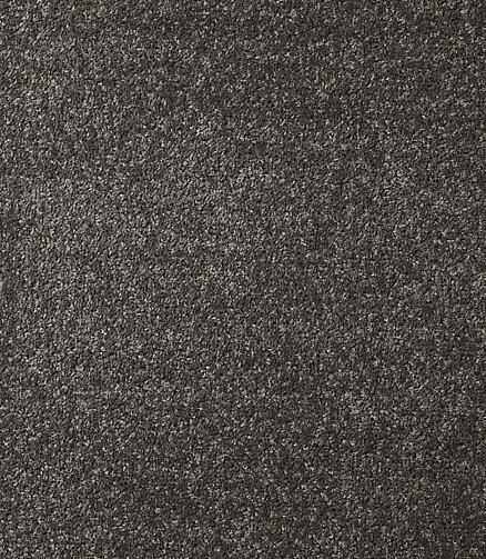 Ковровое покрытие DYNASTY 75 d.grey, 3м 438x503 в Материке