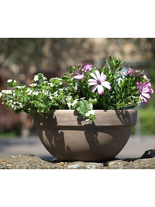 Горшок BASALT Misa Levy (30x14,5см) терракота коричневый T-025-025-30 238x286 в Материке - Вариант 2