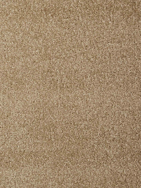 Ковровое покрытие DYNASTY 91 sand, 4м 495x660 Ковровое покрытие DYNASTY 91 sand, 4м 495x660 в Материке
