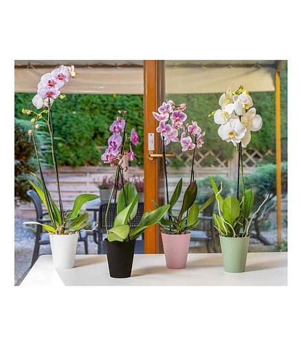 Горшок для орхидей Vanda orchid (12,7х15см) пластик артишок 5380-092 438x503 в Материке
