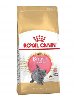 Корм для котят Royal Canin British Shorthair Kitten (0,4кг) 238x286 в Материке