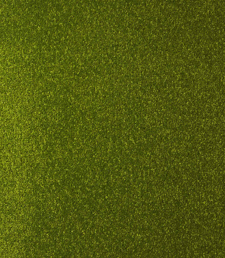 Ковровое покрытие DYNASTY 41 green, 4м 438x503 в Материке