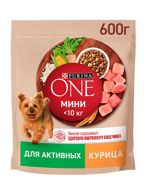 Корм для собак Purina One Мини для активных, курица, рис (0,6кг) 495x660 Корм для собак Purina One Мини для активных, курица, рис (0,6кг) 495x660 в Материке