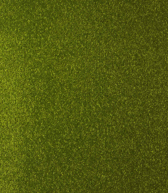 Ковровое покрытие DYNASTY 41 green, 4м 586x674 в Материке