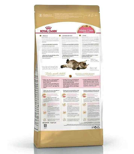 Корм для кошек Royal Canin Maine Coon (0,4кг) 438x503 в Материке - Вариант 2