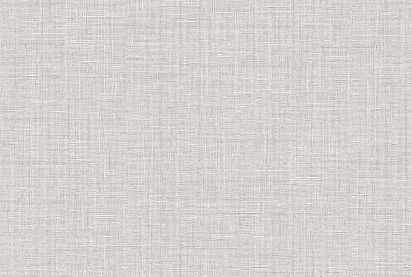 Виниловые обои 10099-14 ERISMANN 0.53*10м 586x674 Виниловые обои 10099-14 ERISMANN 0.53*10м 586x674 в Материке