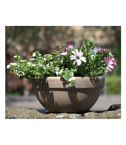 Горшок BASALT Misa Levy (23x11см) терракота коричневый T-025-025-23 438x503 в Материке - Вариант 2