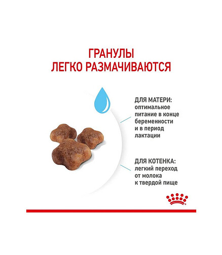 Корм для котят Royal Canin Mother&Babycat (0,4кг) 438x503 в Материке - Вариант 3