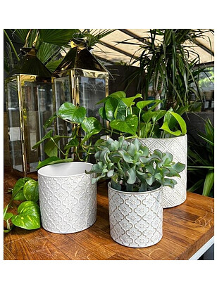 Горшок VINTAGE (13*13см) керамика белый арт.07.101.13 238x286 в Материке - Вариант 4
