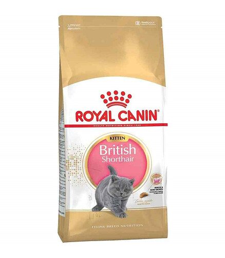 Корм для котят Royal Canin British Shorthair Kitten (0,4кг) 438x503 в Материке