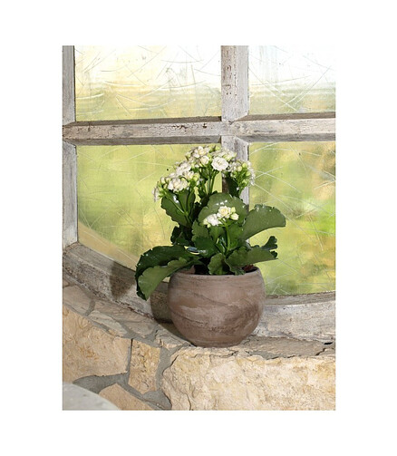 Горшок BASALT Kula (26x19см) терракота коричневый T-057-026-26 438x503 в Материке - Вариант 2
